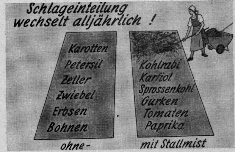 Slide reproduced in: Der Förderungsdienst 11, supplement no. 7 (May 1963): 3.